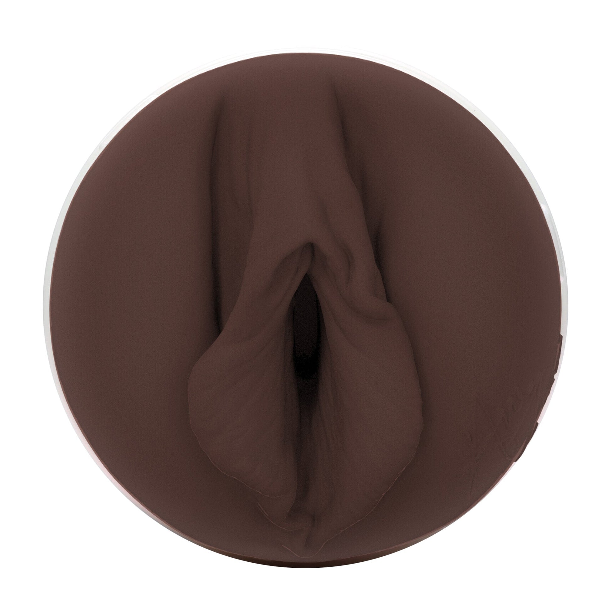 Ana Foxxx Fleshlight Silk (Lady) With case Fleshlight