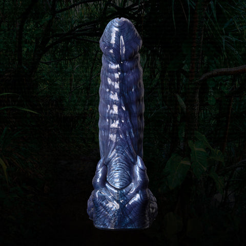 bottom_banner_images