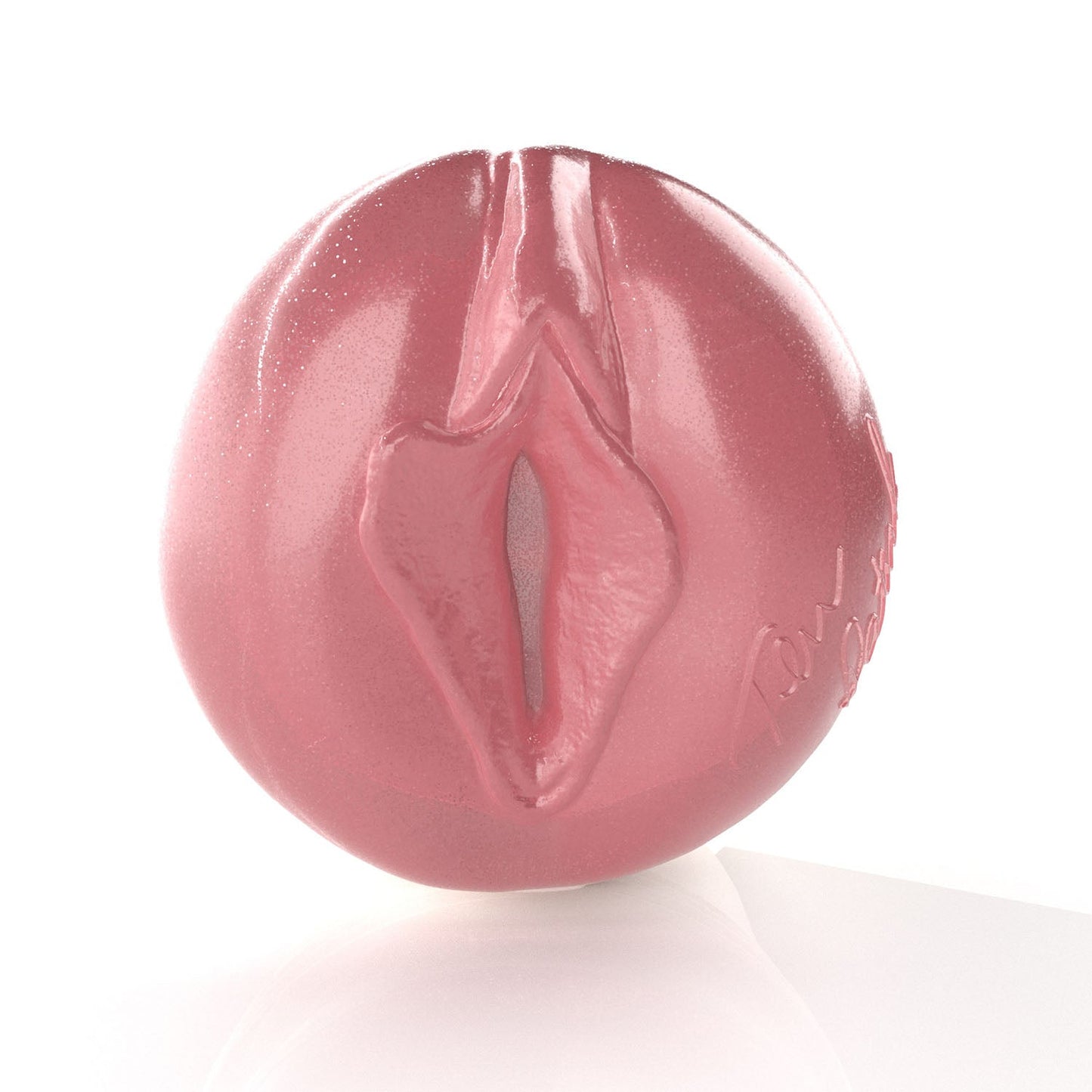 Tera Patrick Birthday Cake Edition